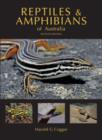 Image for Reptiles and Amphibians of Australia