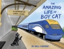 Image for The Amazing Life of Boy Cat