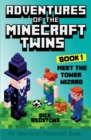 Image for Meet the Tower Wizard : An Unofficial Minecraft Book