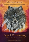 Image for Spirit Dreaming : Soul Guidance Cards