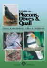 Image for Pigeons, Doves and Quail