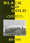 Image for Black and Gold : History of the 29th Battalion 1915 - 1918 in Gallipoli, France