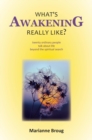 Image for What&#39;s Awakening Really Like?: Twenty ordinary people talk about life beyond the spiritual search