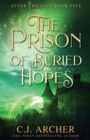 Image for The Prison of Buried Hopes
