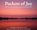 Image for Pockets of Joy : When it&#39;s hard to find happiness, look for the tiny pockets of joy