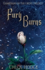 Image for Fury Burns