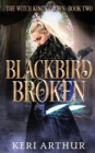 Image for Blackbird Broken