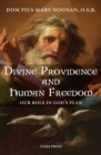 Image for Divine Providence And Human Freedom