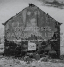 Image for The Ghosts Have Never Left : Victorian Gold Rush Towns and the Stories They Could Tell