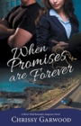 Image for When Promises Are Forever : A River Wild Romantic Suspense Novel