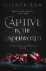 Image for Captive in the Underworld