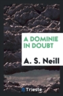Image for A Dominie in Doubt