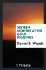 Image for Sixteen Months at the Gold Diggings