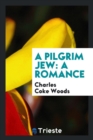Image for A Pilgrim Jew : A Romance