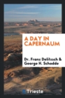 Image for A Day in Capernaum