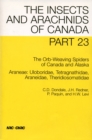 Image for The Orb-weaving Spiders of Canada and Alaska: Araneae:uloboridae, Tetragnathidae, Araneidae, Theridiosomatidae.