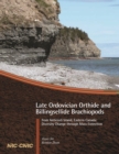 Image for Late Ordovician orthide and billingsellide brachiopods from Anticosti Island, eastern Canada: diversity change through a mass extinction