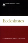 Image for Ecclesiastes : Interpretation