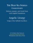 Image for The Dead Sea Scrolls, Volume 4B