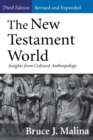 Image for The New Testament world  : insights from cultural anthropology