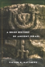 Image for A Brief History of Ancient Israel