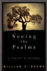 Image for Seeing the Psalms : A Theology of Metaphor