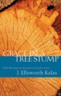 Image for Grace in a Tree Stump : Old Testament Stories of God&#39;s Love