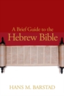 Image for A Brief Guide to the Hebrew Bible