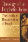 Image for Theology of the Prophetic Books