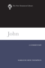 Image for John : A Commentary