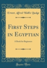 Image for First Steps in Egyptian: A Book for Beginners (Classic Reprint)