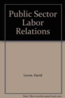 Image for Public Sector Labor Relations