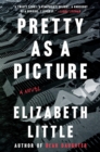 Image for Pretty as a picture  : a novel