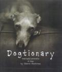 Image for Dogtionary  : meaningful portraits of dogs