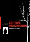 Image for Captive Imagination