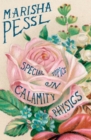 Image for Special topics in calamity physics