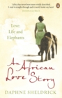 Image for An African love story  : love, life and elephants