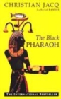 Image for The Black Pharaoh