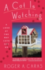 Image for A Cat is Watching : A Look at the Way Cats See Us