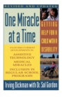 Image for One Miracle at a Time : Getting Help for a Child with a Disability