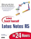 Image for Sams teach yourself Lotus Notes 5 in 24 hours