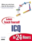 Image for Sams Teach Yourself ICQ in 24 Hours