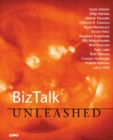Image for BizTalk Unleashed