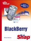 Image for BlackBerry in a Snap