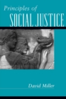 Image for Principles of Social Justice