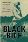 Image for Black rice  : the African origins of rice cultivation in the Americas