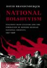 Image for National Bolshevism