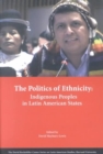 Image for The politics of ethnicity  : indigenous peoples in Latin American states