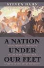 Image for A nation under our feet  : black political struggles in the rural South from slavery to the great migration