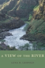 Image for A View of the River